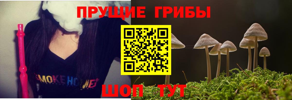 Галлюциногенные грибы Psilocybine cubensis  Вход с VPN  Верхняя Салда  Галлюциногенные грибы ЛСД 